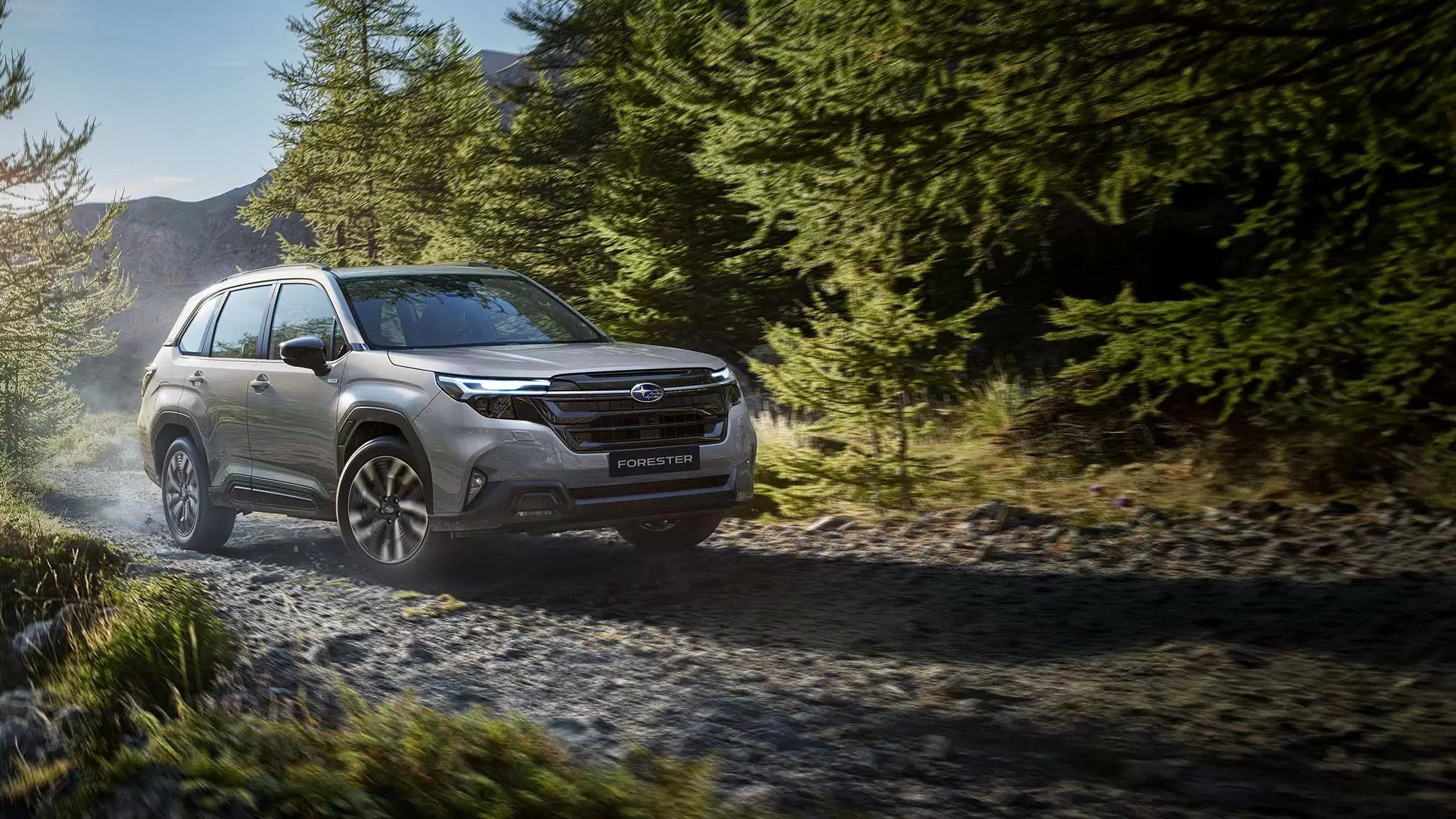 4-wheel drive cars
